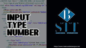 Input Type Number